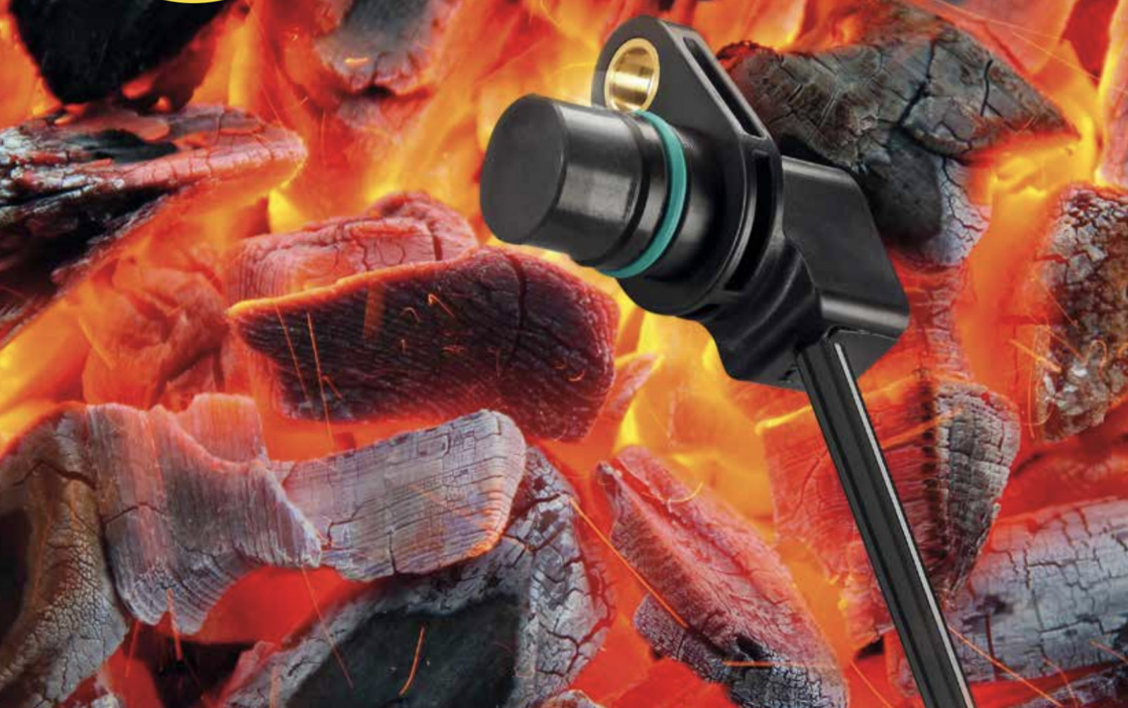Rotational speed sensor for hottest environments