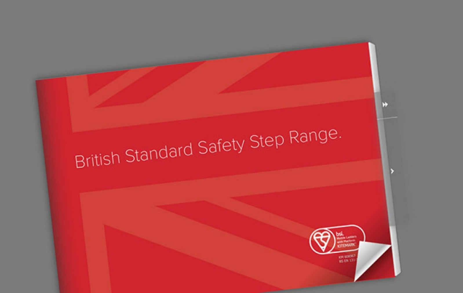 BSI Safety Step Range Brochure Available Now.