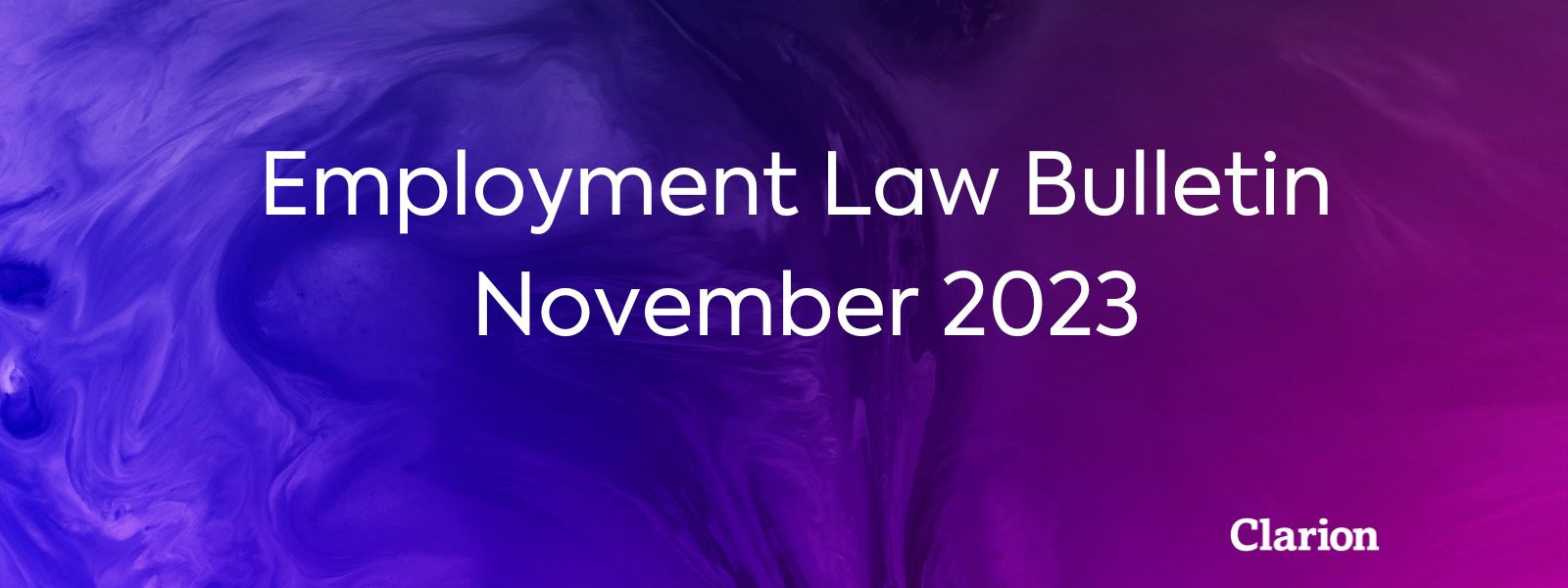 Employment Law Bulletin - November 2023
