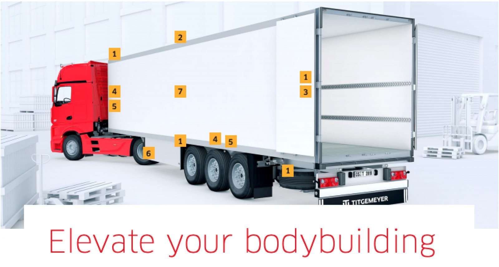Elevate your bodybuilding