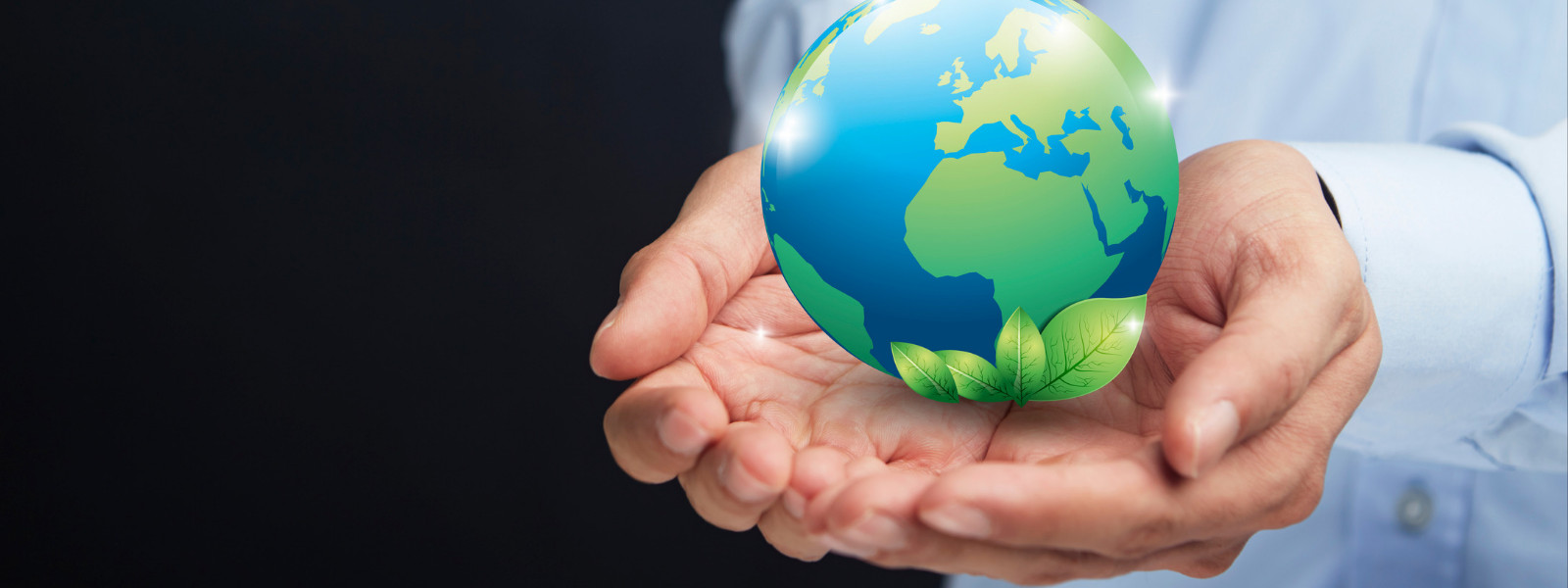 What we think about Quality, Environment, Health &...