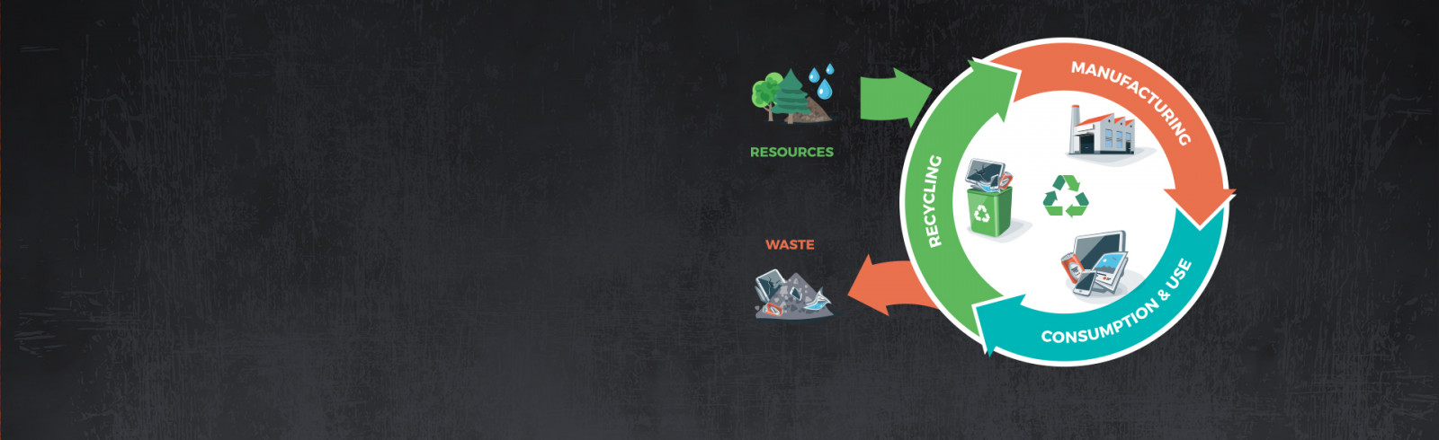 THE CIRCULAR ECONOMY