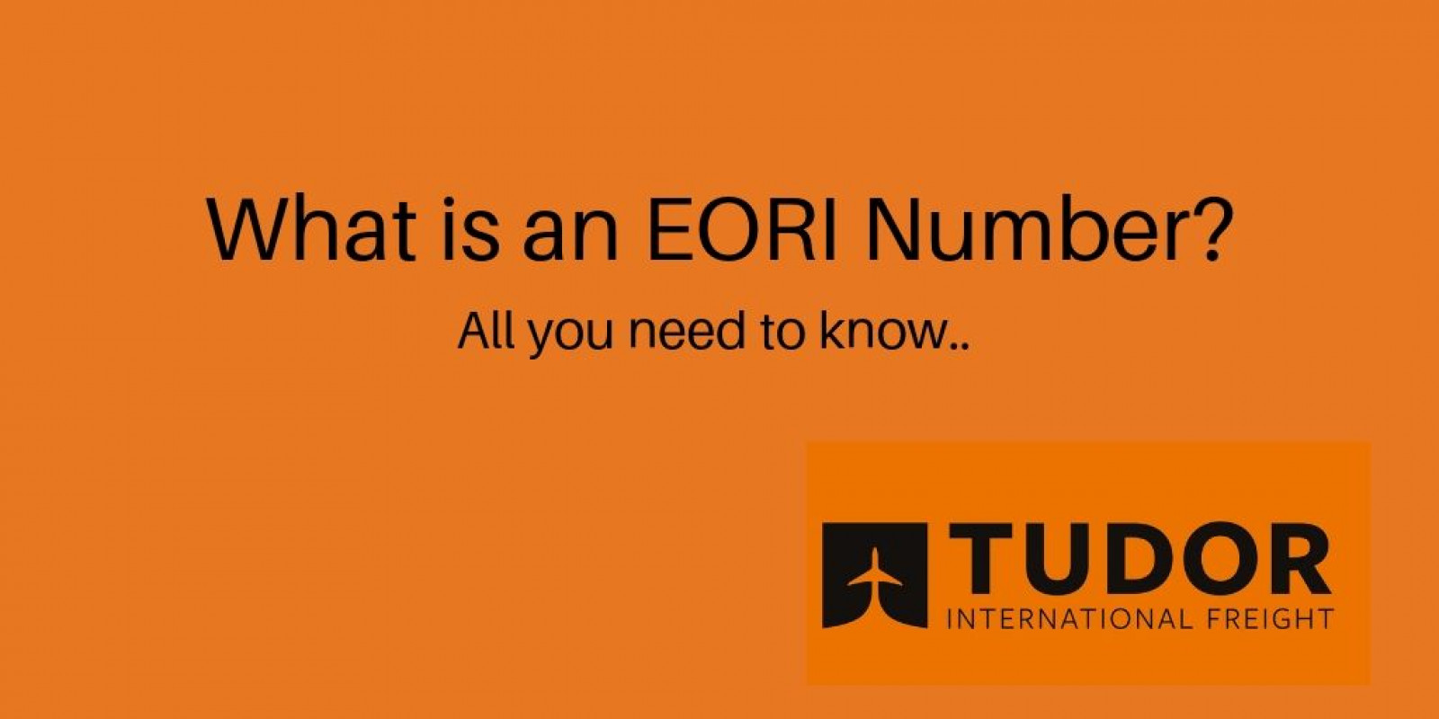 What is an EORI Number?