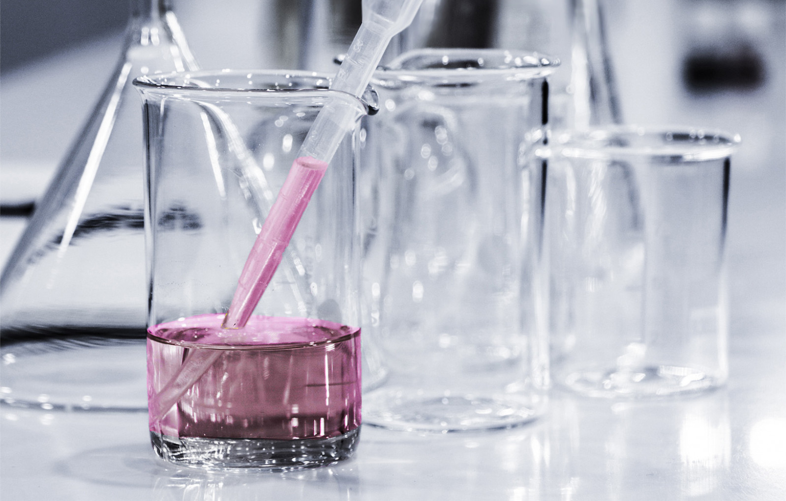 The Chemicals Industry is forecasting a tough 12 m...