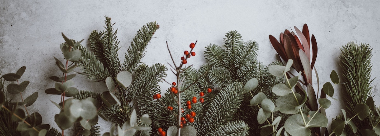 Merry Christmas MiM family!