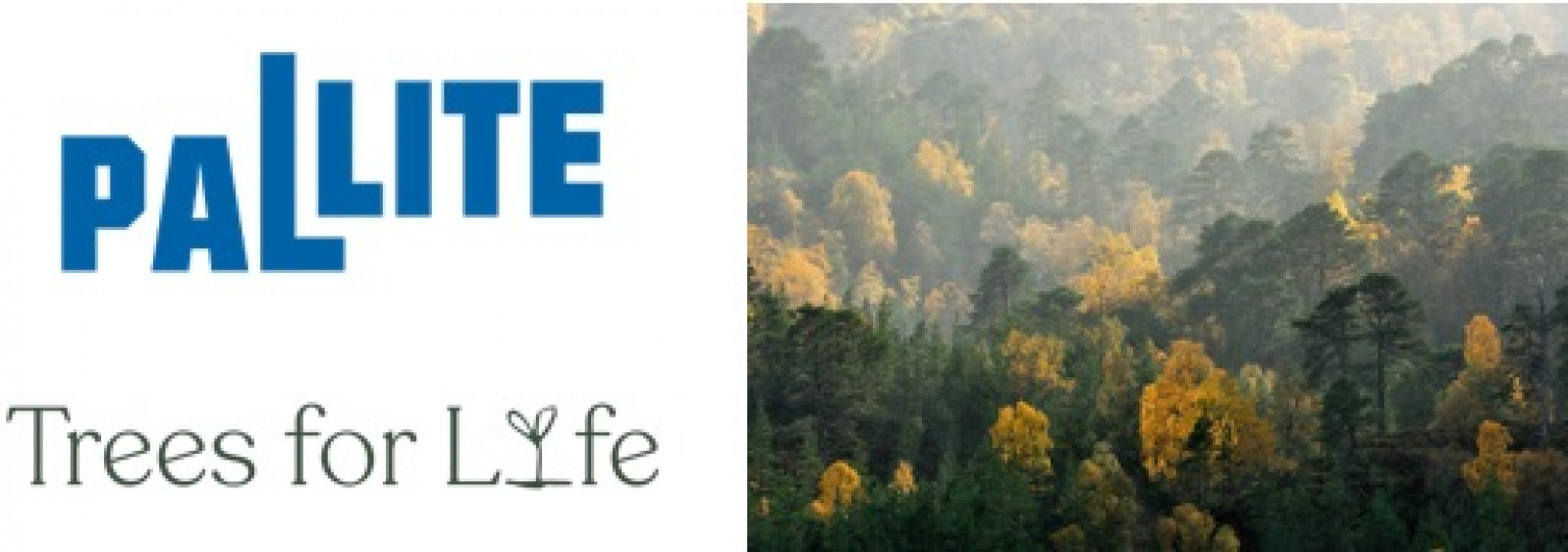 PALLITE® PLANTS 2,000 TREES AS PART OF NATIONAL TR...