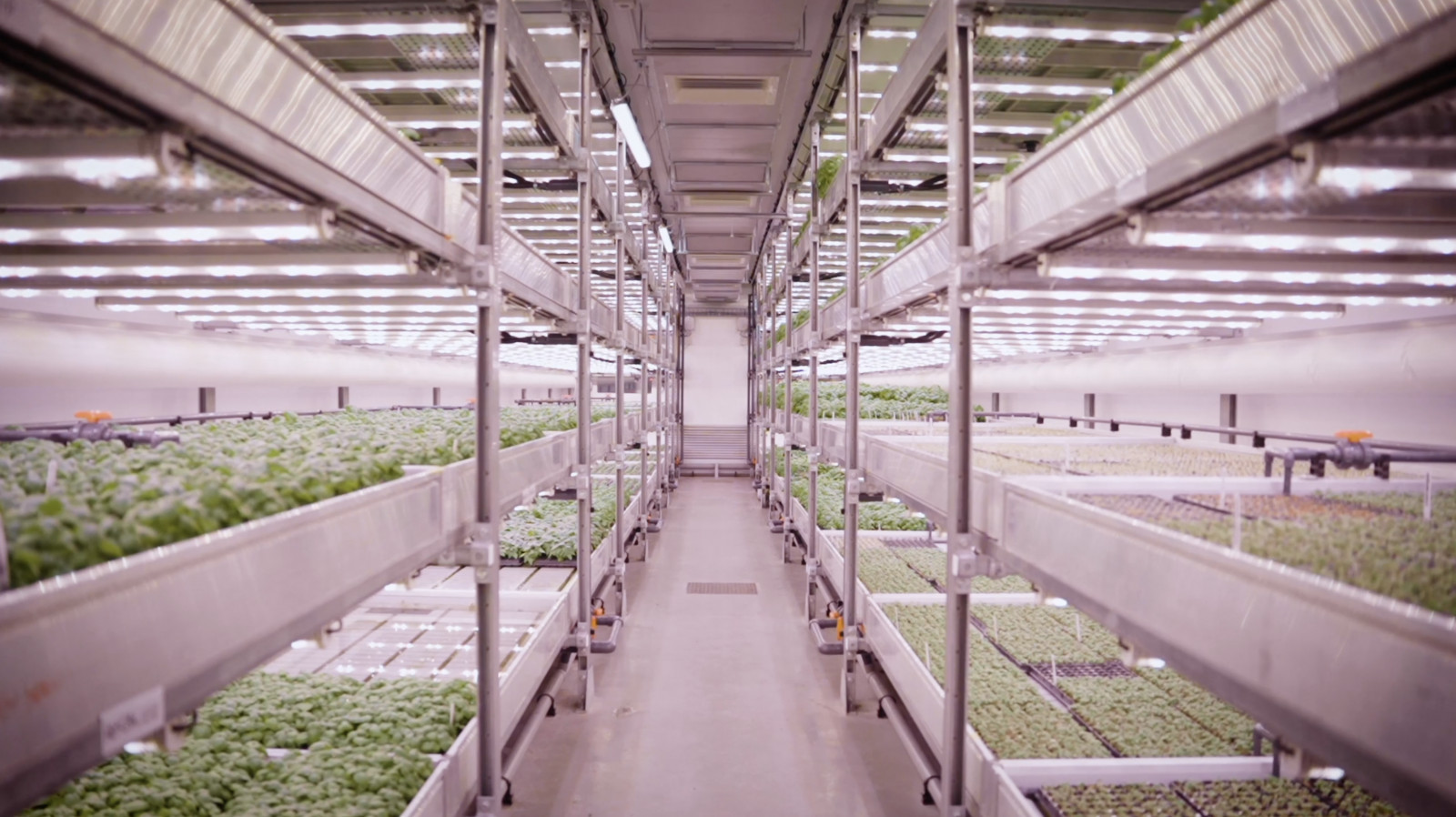 Our large-scale automated Vertical Farm concept fo...