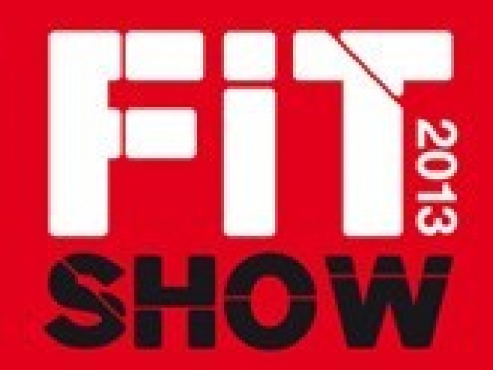 FiT Show 2013