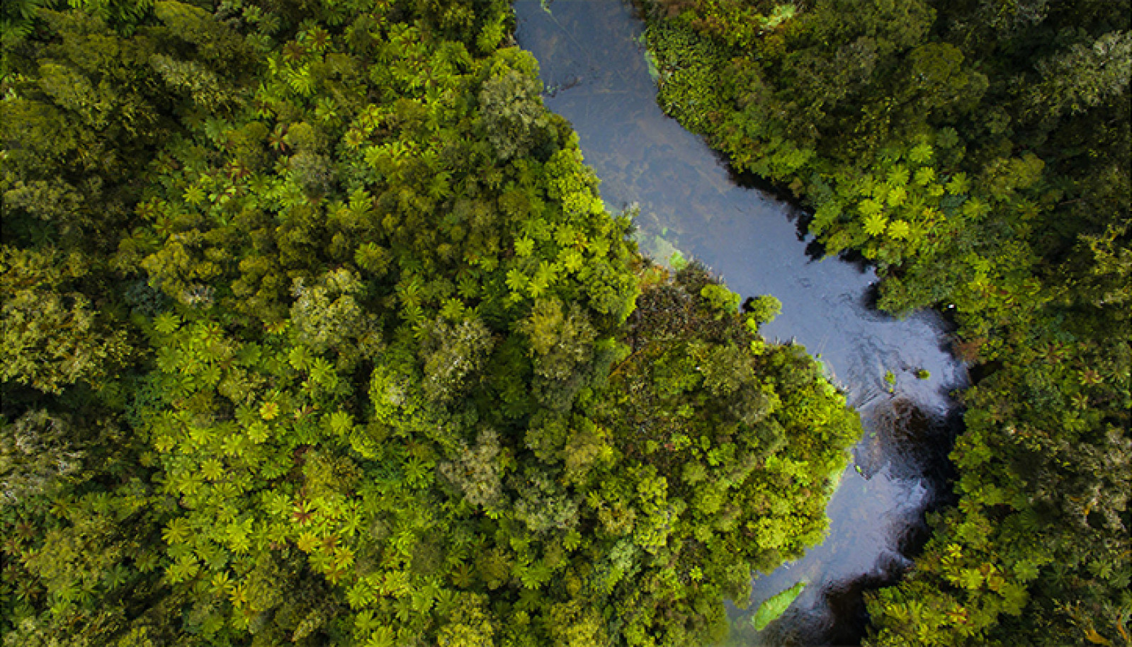 Ahead of COP24, Schneider Electric strengthens its...