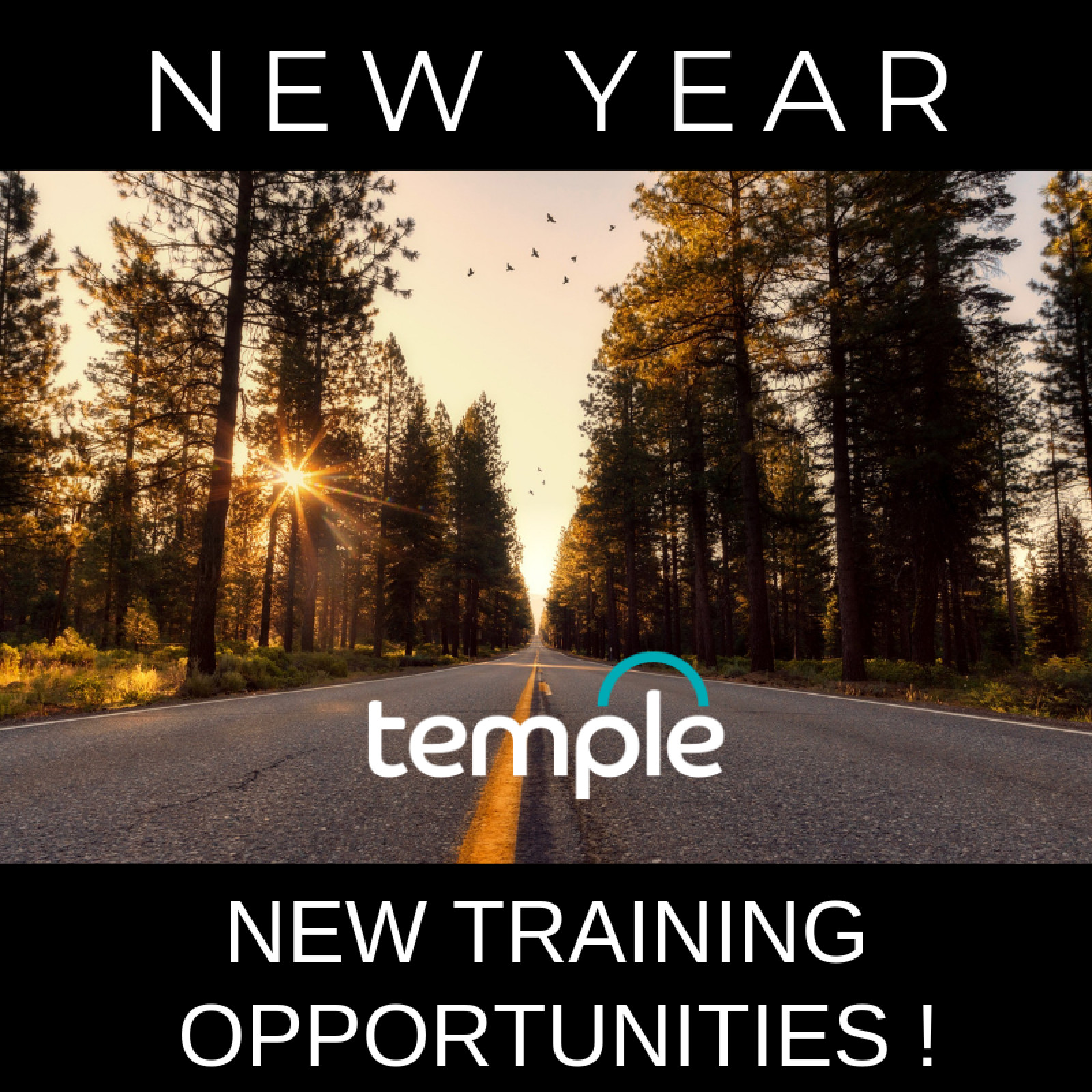 New Year, New Training Opportunities