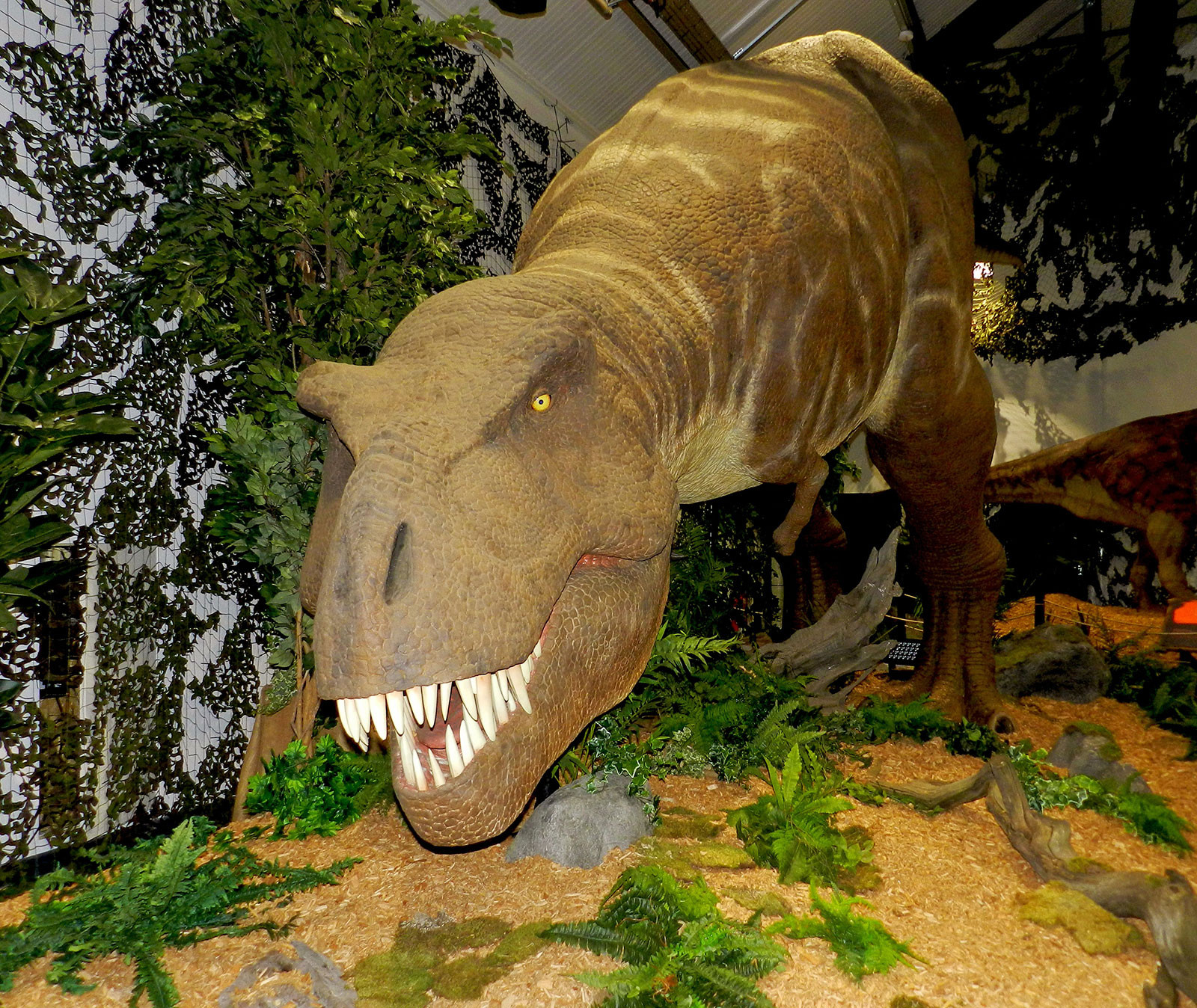 Animatronic dinosaurs brought to life with compressed air